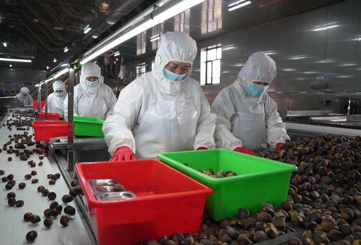 河北遵化 发展农产品深加工 助力乡村振兴——果蔬制品产业跑出加速度
