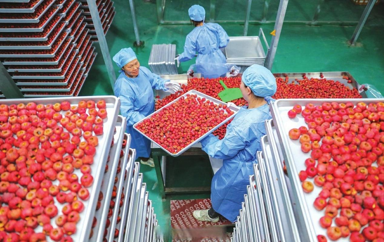 车间里的“锁鲜”密码 探访闻喜县青山硕科技果蔬制品生产线